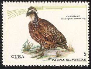 Colnect-2031-168-Bobwhite-Quail-Colinus-virginianus.jpg