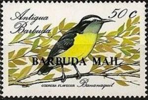 Colnect-2098-065-Bananaquit-Coereba-flaveola.jpg