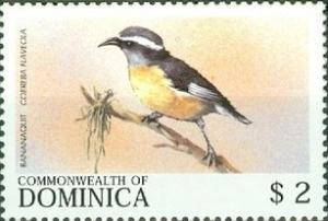 Colnect-3228-418-Bananaquit-Coereba-flaveola.jpg