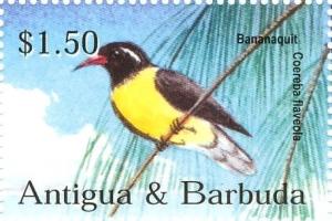 Colnect-3498-532-Bananaquit-Coereba-flaveola.jpg