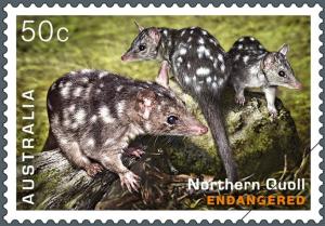 Colnect-3558-723-Northern-Quoll-Dasyurus-hallucatus.jpg