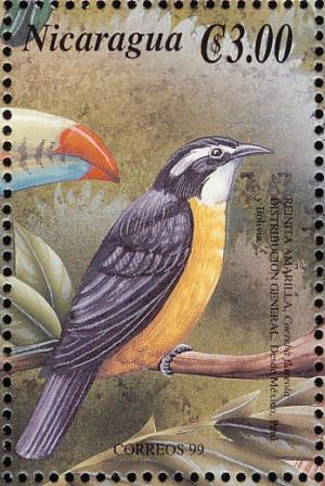 Colnect-3803-035-Bananaquit-Coereba-flaveola.jpg