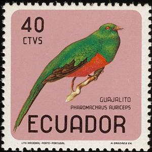 Colnect-734-535-Golden-headed-Quetzal-Pharomachrus-auriceps.jpg