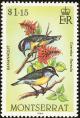 Colnect-1785-070-Bananaquit-Coereba-flaveola.jpg