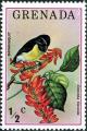 Colnect-5687-362-Bananaquit-Coereba-flaveola.jpg