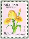 Colnect-1636-659-Frag-iris-Iris-sp.jpg