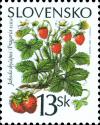 Colnect-1940-567-Common-Strawberry---Fragaria-vesca.jpg