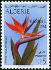 Colnect-2056-747-Bird-of-paradise-Strelitzia-reginae.jpg