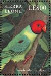 Colnect-2194-128-Plum-headed-Parakeet-Psittacula-cyanocephala.jpg