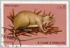 Colnect-2431-259-Brown-Rat-Rattus-norvegicus.jpg