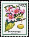 Colnect-2649-159-Prairie-Crab-Apple.jpg