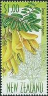 Colnect-3998-032-Sophora-tetraptera-Kowhai-.jpg