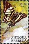 Colnect-4099-950-Graphium-androcles.jpg