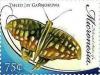 Colnect-4747-146-Graphium-agamemnon.jpg