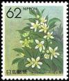 Colnect-519-700-Summer-Orange-Blossom-Yamaguchi.jpg