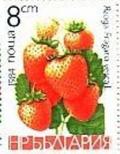 Colnect-1784-766-Wild-Strawberry-Fragaria-vesca.jpg