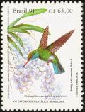 Colnect-1976-314-Glittering-bellied-Emerald-Chlorostilbon-aureoventris-puche.jpg