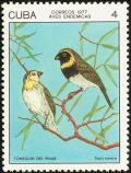 Colnect-2307-524-Cuban-Grassquit-Tiaris-canora.jpg