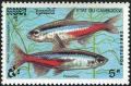 Colnect-2620-956-Neon-Tetra-Hyphessobrycon-innesi.jpg