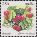 Colnect-3094-278-Crataegus-azalorus.jpg