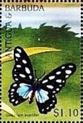 Colnect-4123-036-Graphium-leonidas.jpg