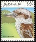 Colnect-604-104-Kookaburra-Dacelo-novaeguineae.jpg