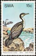 Phalacrocorax-carbo.jpg