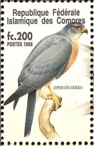 Colnect-3669-528-Shikra%C2%A0Accipiter-badius.jpg