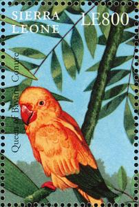 Colnect-2194-134-Golden-Parakeet-Aratinga-guarouba.jpg