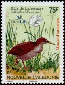 Colnect-858-816-New-Caledonian-Rail-Gallirallus-lafresnayanus.jpg