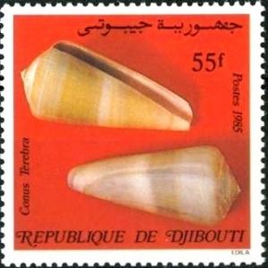 Colnect-1094-845-Terebra-Cone-Conus-terebra.jpg