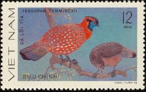 Colnect-1613-198-Temminck-s-Tragopan-Tragopan-temminckii-.jpg