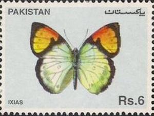 Colnect-2058-357-Yellow-Orange-Tip-Ixias-pyrene-.jpg