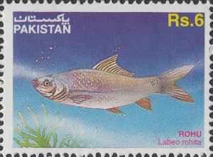 Colnect-2181-766-Indian-Grass-Carp-Labeo-rohita-.jpg