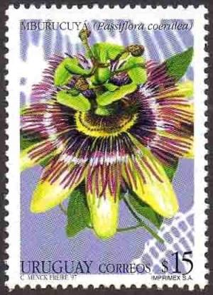 Colnect-2216-075-Passiflora-coerulea--Mburucuya-.jpg