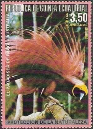 Colnect-2535-346-Raggiana-Bird-of-paradise-Paradisaea-raggiana-raggiana.jpg