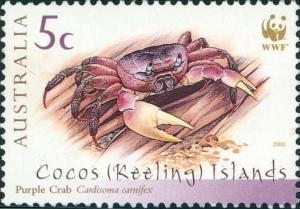 Colnect-2743-663-Purple-Crab-Cardisoma-carnifex-.jpg