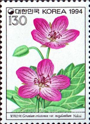 Colnect-2774-531-Geranium-eriostemon.jpg