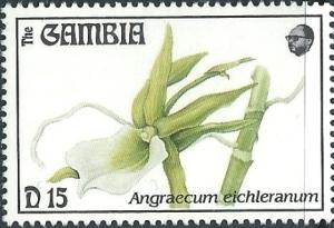 Colnect-2823-902-Angraecum-eichleranum.jpg