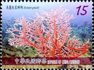 Colnect-2953-211-Lace-Coral-Stylaster-gracilis.jpg