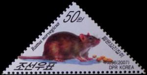 Colnect-3113-652-Brown-Rat-Rattus-norvegicus.jpg