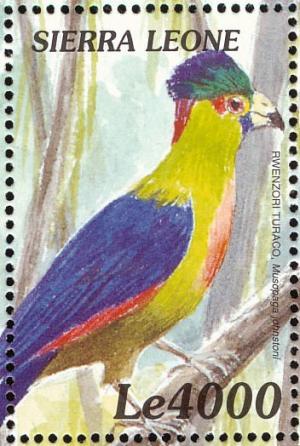 Colnect-3807-393-Ruwenzori-Turaco-Ruwenzorornis-johnstoni.jpg