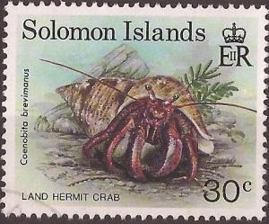 Colnect-4033-322-Hermit-crab-Coenobita-brevimanus.jpg