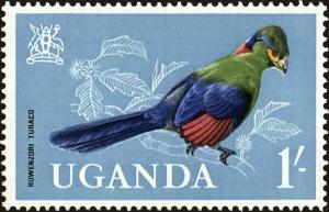 Colnect-4257-187-Ruwenzori-Turaco-Ruwenzorornis-johnstoni.jpg