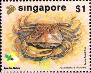 Colnect-4263-351-Swap-Forest-Crab-Parathelphusa-reticulata.jpg