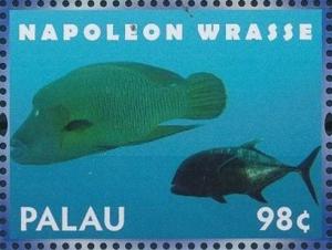 Colnect-4898-103-Napoleon-Wrasse-Cheilinus-undulatus.jpg