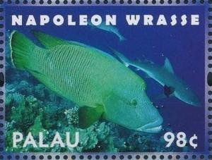 Colnect-4898-106-Napoleon-Wrasse-Cheilinus-undulatus.jpg