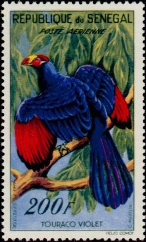 Colnect-504-441-Violet-Turaco-Musophaga-violacea.jpg