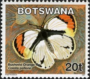 Colnect-778-739-Bushveld-Orange-Tip-Colotis-pallene.jpg