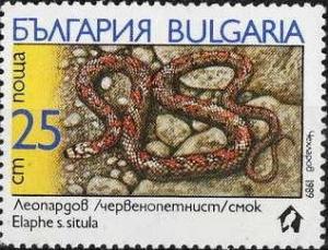 Colnect-820-000-European-Ratsnake-Elaphe-situla-.jpg